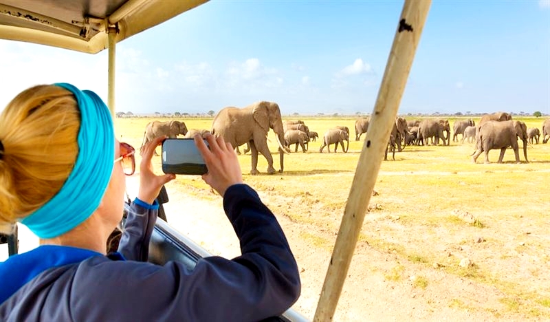 Safari bookings kenya