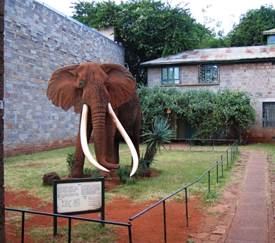 Nairobi Excursions