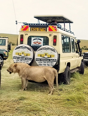Tanzania Lodge Safaris