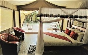 Kenya Luxury Lodge safaris